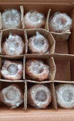 14 Waxinelichtjes zoutsteen, Ophalen of Verzenden, Nieuw, Overige materialen, Minder dan 25 cm