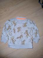 Sweater Hema maat 74 jongen, Ophalen of Verzenden