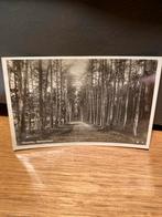 Ansichtkaart Ginneken, Breda - 1941, Ophalen of Verzenden, 1940 tot 1960, Gelopen, Noord-Brabant