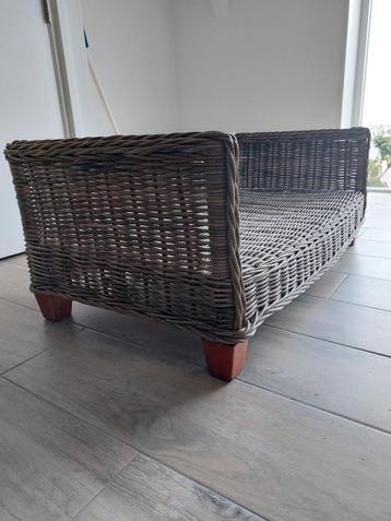 Honden mand  beschikbaar voor biedingen