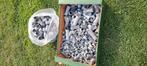 PVC 32 , 40 en 50 mm bochten, t-stuk, y-stuk, sok enz..., Doe-het-zelf en Verbouw, Buizen en Afvoer, Bochten, Pvc, Ophalen of Verzenden