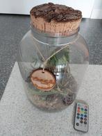 Ecolife Tube 28 x 16 cm, Huis en Inrichting, Ophalen, Overige soorten, Halfschaduw, In pot