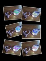 Riem/halsband set LILA met RGB verlichting [Z.S.M. OPHALEN], Ophalen of Verzenden, Zo goed als nieuw, Hondenriem
