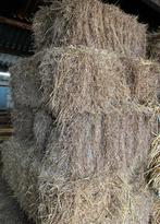 Kleine hooibalen, Ophalen, Vee