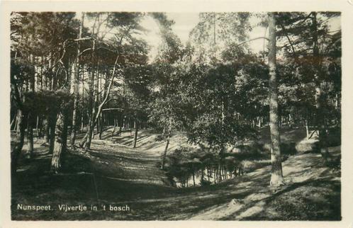 (387-143-021) Nunspeet Vijvertje in t Bosch, Verzamelen, Ansichtkaarten | Nederland, Gelderland, Verzenden