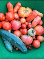 Planten: tomaten, courgette, eenjarige bloemen, Zomer, Ophalen of Verzenden, Groenteplanten, Eenjarig