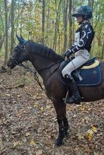 Rijbroek Cavalleria Toscana maat 10, Dieren en Toebehoren, Paardrijkleding, Ophalen of Verzenden, Zo goed als nieuw, Dressuur