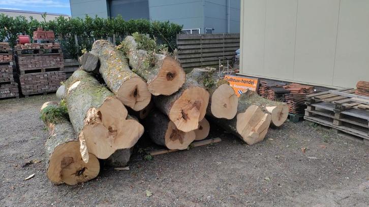 Gezocht Boom stam  hout gevraagd brandhout haardhout, Tuin en Terras, Haardhout, 6 m³ of meer, Ophalen