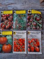 tomaten planten,  paprika planten,  courgette ,mini, Tuin en Terras, Zomer, Ophalen, Groenteplanten, Eenjarig
