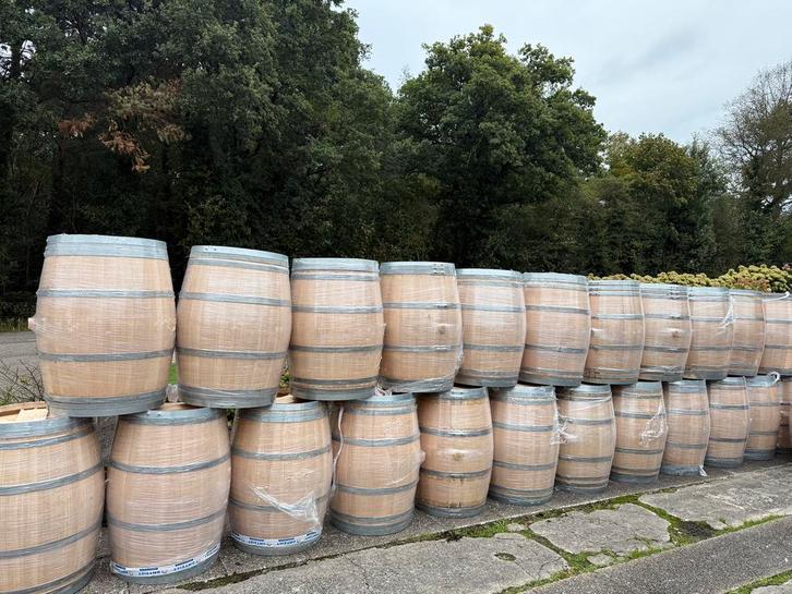 Wijnvaten | geschuurd | als nieuw | duurzaam, Tuin en Terras, Regentonnen, Zo goed als nieuw, Hout, 150 liter of meer, Ophalen
