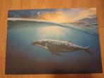 Walvis Canvas Schilderij, Ophalen, 50 tot 75 cm, Zo goed als nieuw, Schilderij