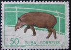 CUBA 37 - Dieren: zoogdieren (tapir), Ophalen of Verzenden, Gestempeld, Dier of Natuur