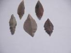 Sahara pijlpunten, Verzamelen, Mineralen en Fossielen, Ophalen of Verzenden, Mineraal
