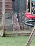 Ruime ren. Gebruikt maar kan nog prima ronde mee, Dieren en Toebehoren, Ophalen of Verzenden