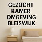 Kamer / Studio te huur (tot 10 km van Bleiswijk), Huizen en Kamers, Minder dan 20 m², Rotterdam