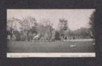 Kalenderplaatje Blokzijl Gezicht in het Slingerpad 1910., Verzamelen, Ophalen of Verzenden