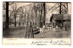 Dordrecht, Hertenkamp in Park "Merwesteijn", Verzenden, Voor 1920, Gelopen, Zuid-Holland
