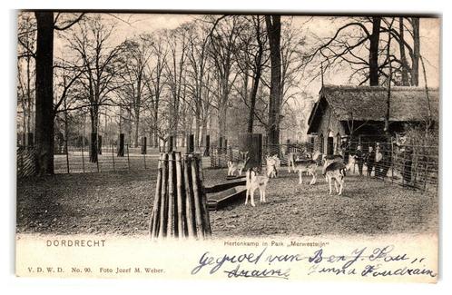 Dordrecht, Hertenkamp in Park "Merwesteijn", Verzamelen, Ansichtkaarten | Nederland, Gelopen, Zuid-Holland, Voor 1920, Verzenden