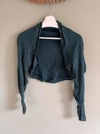 Bolero wol, Kleding | Dames, Maat 38/40 (M), Ophalen of Verzenden, Lange mouw, Gedragen