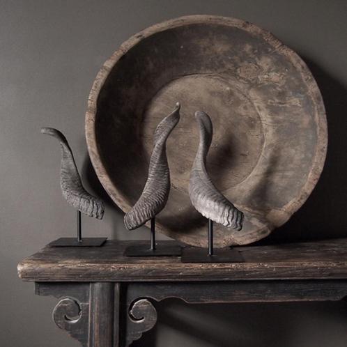 Hoorns op standaard gewei koe ram zebu watusi taxidermie, Verzamelen, Dierenverzamelingen, Nieuw, Ophalen of Verzenden