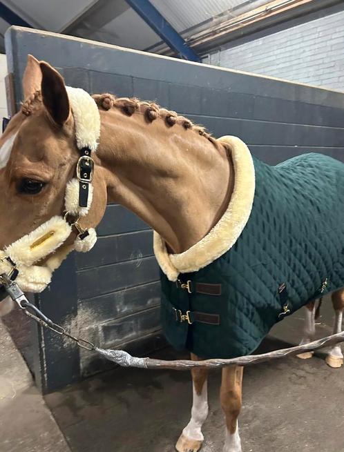 Kentucky showdeken + showhalster cob, Dieren en Toebehoren, Paarden en Pony's | Dekens en Dekjes, Zo goed als nieuw, Ophalen of Verzenden
