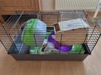 caviakooi met schoonmaakkooi en alle toebehoren, Kooi, Zo goed als nieuw, 75 tot 110 cm, Cavia