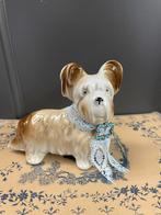 Vintage beeldje Terrier met antiek geemaileerde halsband, Verzamelen, Beelden en Beeldjes, Ophalen of Verzenden, Dier