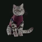 Jacketz Medical Body Suit • voor Katten • XS, Ophalen of Verzenden, Nieuw