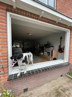 HR++ glas vervangen – snel geregeld – regio Veenendaal, 24-uursservice, Geslepen glas of Spiegels