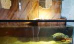 Schildpad Terrarium + Aquarium Juwel + Dressoir, Dieren en Toebehoren, Reptielen en Amfibieën | Toebehoren, Ophalen, Zo goed als nieuw