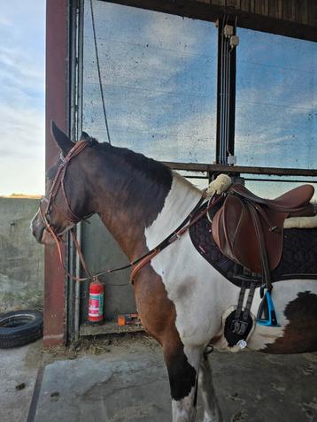 Wintec Cognac Springzadel Eventing 17" Verwisselbare Boom  beschikbaar voor biedingen