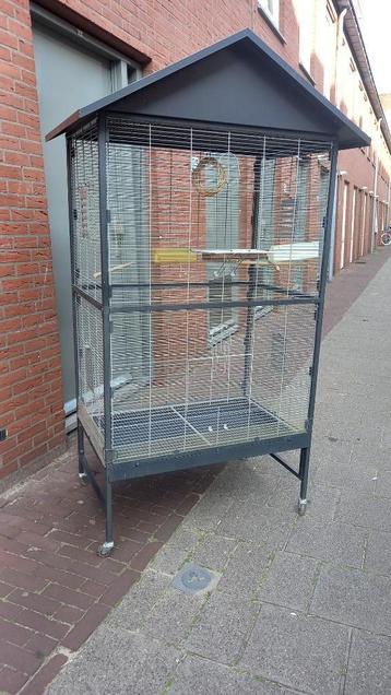 Volière vogels kooi beschikbaar voor biedingen