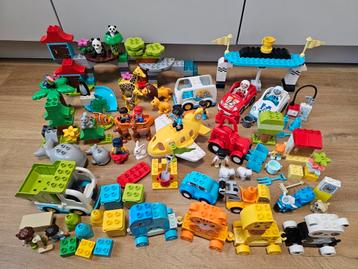 Heel veel Lego Duplo, 10907 dieren van de wereld, racewagens beschikbaar voor biedingen