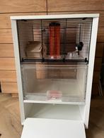 Qute Omlet hamster, gerbil, muizen kooi met extra’s, Dieren en Toebehoren, Ophalen, 60 tot 90 cm, Minder dan 75 cm, Zo goed als nieuw