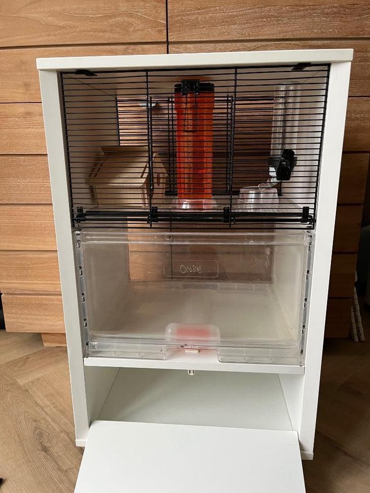 Qute Omlet hamster, gerbil, muizen kooi met extra’s, Dieren en Toebehoren, Knaagdieren en Konijnen | Hokken en Kooien, Zo goed als nieuw