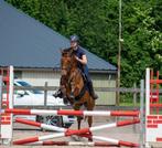 Lieve E springpony, Dieren en Toebehoren, Pony's, E pony (1.48m - 1.57m), Gechipt, Ruin, Springpony