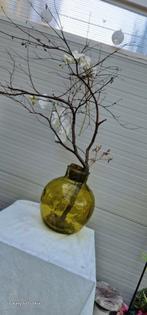 Design grote glazen vaas decoratie gifgroen, Ophalen of Verzenden, Volle zon, Overige soorten