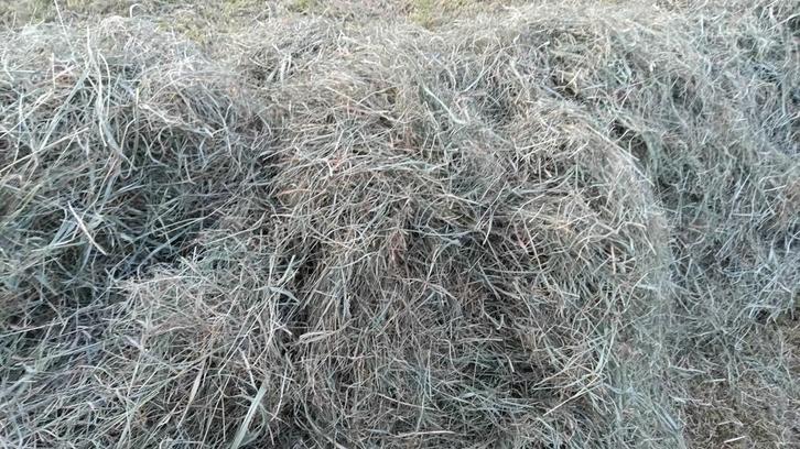 Hooi geschikt voor paarden, Fourage, diverse maten mogelijk, Zakelijke goederen, Agrarisch | Veevoer, Ophalen