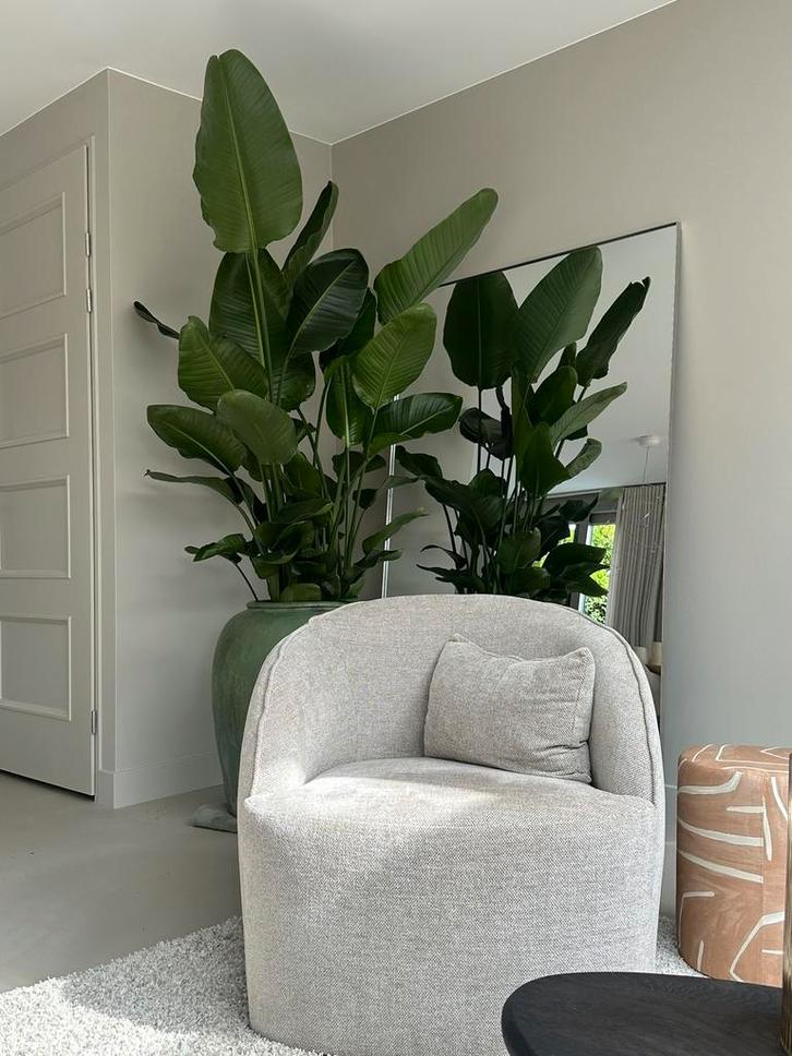 Fauteul | Table du Sud, Huis en Inrichting, Fauteuils, Nieuw, Stof, 75 tot 100 cm, 75 tot 100 cm, Ophalen