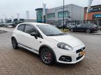 Fiat 2008 Wit, Auto's, 1160 kg, Stof, Zwart, 4 cilinders