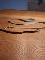 Hondenriem  met halsband, Dieren en Toebehoren, Ophalen of Verzenden, Zo goed als nieuw
