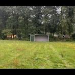 Weide gezocht met eventueel stal. Omgeving Dussen/waspik, Dieren en Toebehoren, Stalling en Weidegang