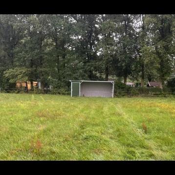 Weide gezocht met eventueel stal. Omgeving Dussen/waspik  beschikbaar voor biedingen