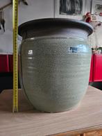 Schitterende grote olijfgroene krakelee overpot, Gebruikt, Aardewerk of Porselein, Ophalen of Verzenden, Minder dan 50 cm