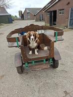 Pony rijtuig, Ophalen, Gebruikt, Recreatie
