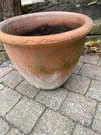 Bloempotje, Ophalen, Gebruikt, Tuin, Rond