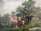 Antiek schilderij koeien, H. W. Van Rijswijck, 1903, Antiek en Kunst, Ophalen