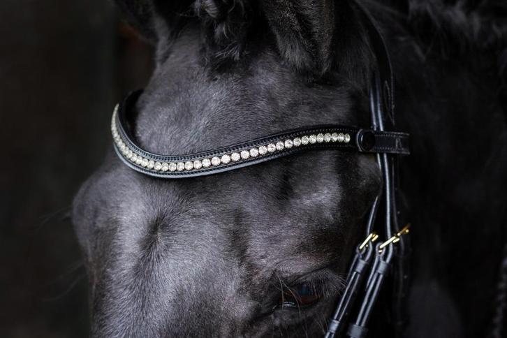 L'Anique Click&Go Frontriem Celeste, Dieren en Toebehoren, Paarden en Pony's | Hoofdstellen en Tuigage, Nieuw, Dressuur, Ophalen of Verzenden