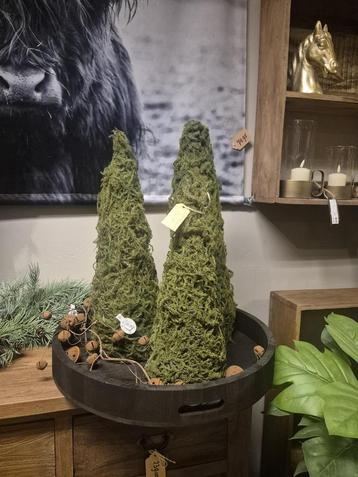 Mos boompje ( kunst) beschikbaar voor biedingen