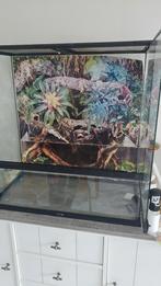 Zoo Med Double Door Terrarium/Paludarium 91x46x91cm, Dieren en Toebehoren, Ophalen, Zo goed als nieuw, Terrarium of Paludarium
